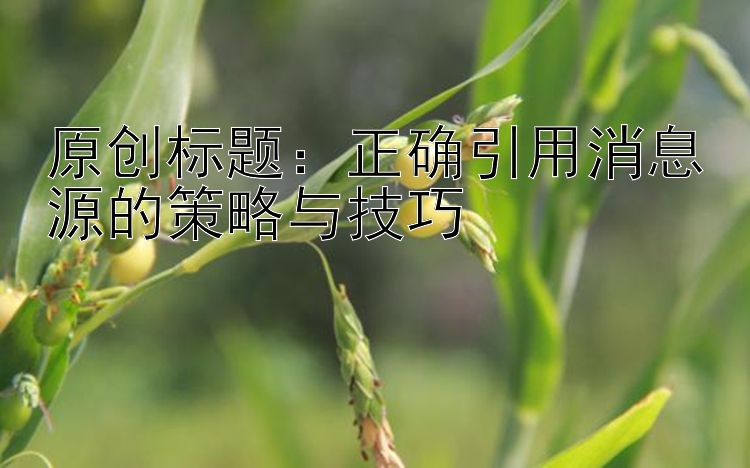 正确引用消息源的策略与技巧