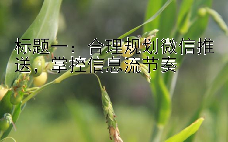 合理规划微信推送，掌控信息流节奏