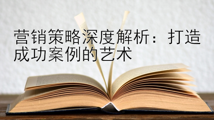 营销策略深度解析：打造成功案例的艺术