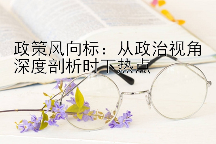 政策风向标：从政治视角深度剖析时下热点