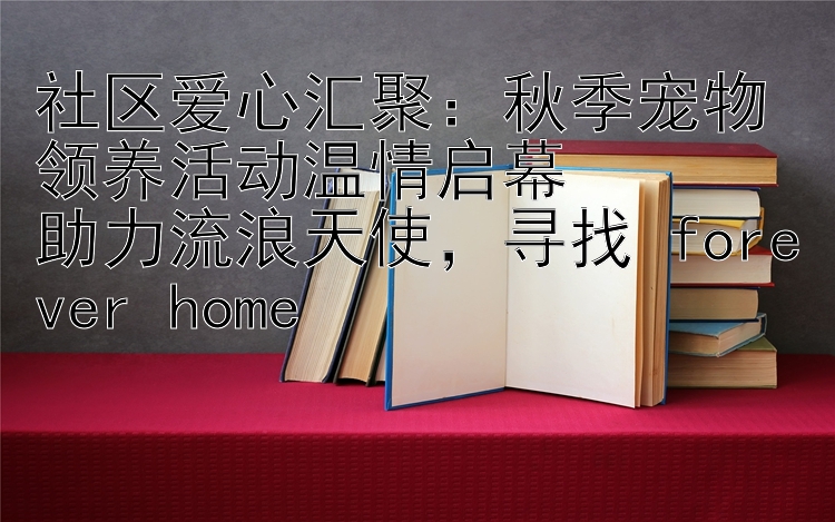 社区爱心汇聚：秋季宠物领养活动温情启幕  
助力流浪天使，寻找 forever home